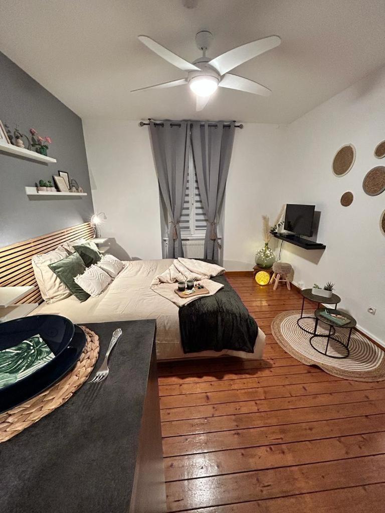 Chez Michele Et Philippe Apartment Munster  Ngoại thất bức ảnh