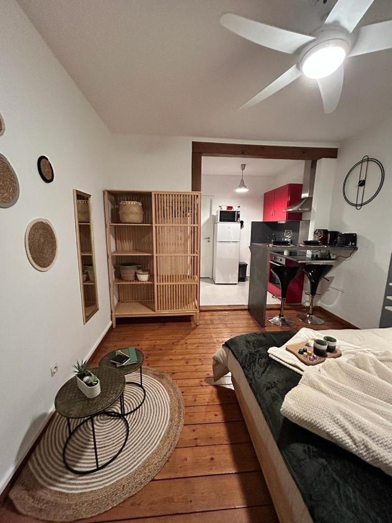 Chez Michele Et Philippe Apartment Munster  Ngoại thất bức ảnh